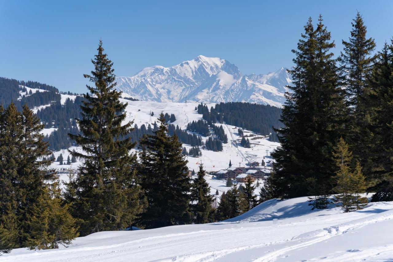 Les Saisies Appart 1 Chambre Au Pied Des Pistes Exterior foto