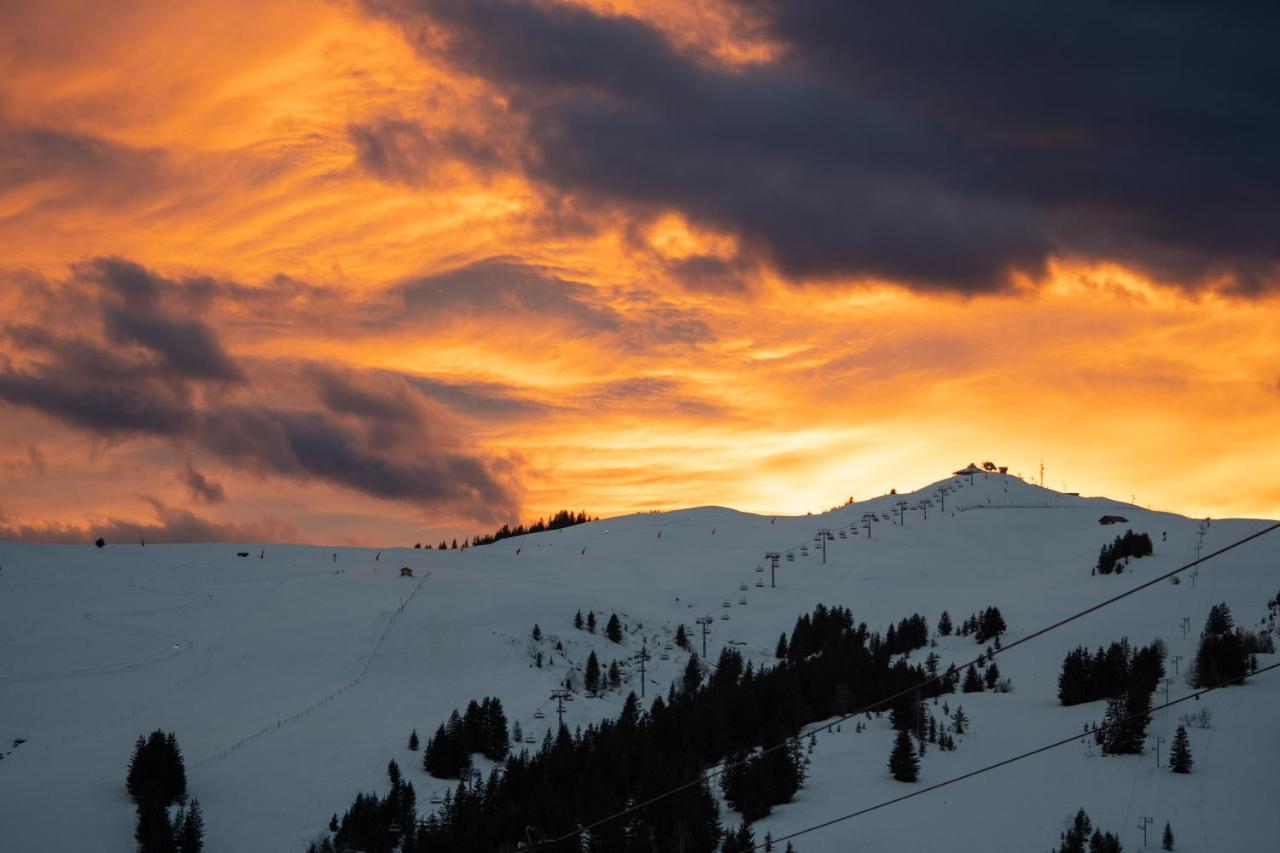 Les Saisies Appart 1 Chambre Au Pied Des Pistes Exterior foto
