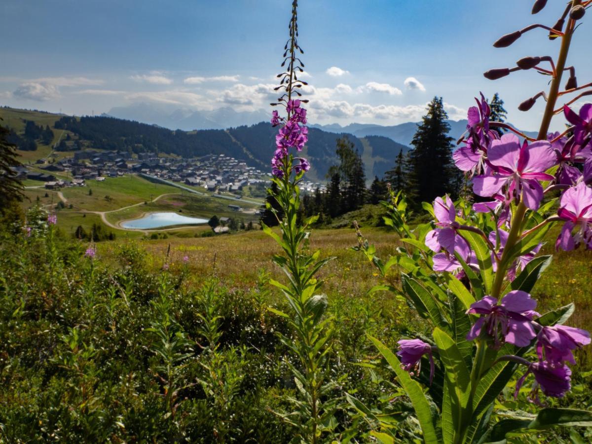 Les Saisies Appart 1 Chambre Au Pied Des Pistes Exterior foto